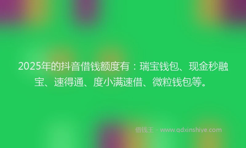 2025年的抖音借钱额度有：瑞宝钱包、现金秒融宝、速得通、度小满速借、微粒钱包等。
