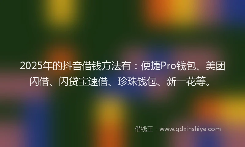 2025年的抖音借钱方法有：便捷Pro钱包、美团闪借、闪贷宝速借、珍珠钱包、新一花等。