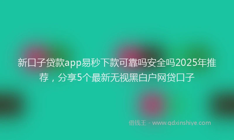 新口子贷款app易秒下款可靠吗安全吗2025年推荐，分享5个最新无视黑白户网贷口子