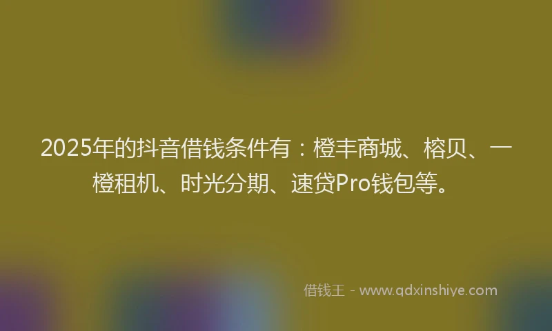 2025年的抖音借钱条件有：橙丰商城、榕贝、一橙租机、时光分期、速贷Pro钱包等。