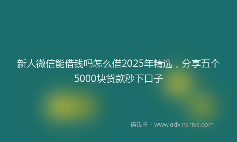 新人微信能借钱吗怎么借2025年精选，分享五个5000块贷款秒下口子