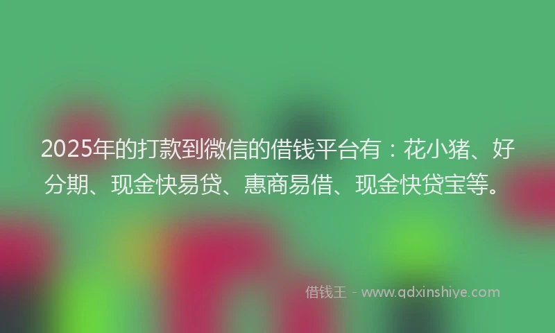 2025年的打款到微信的借钱平台有：花小猪、好分期、现金快易贷、惠商易借、现金快贷宝等。