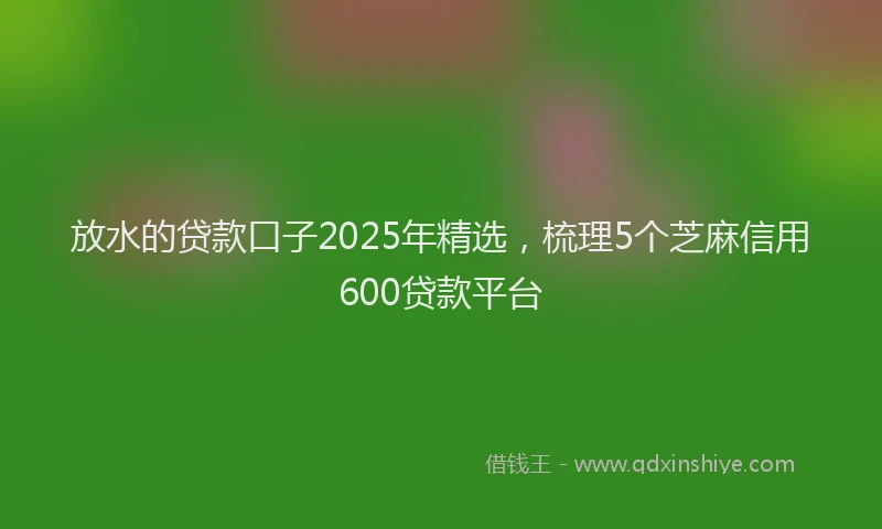 放水的贷款口子2025年精选，梳理5个芝麻信用600贷款平台