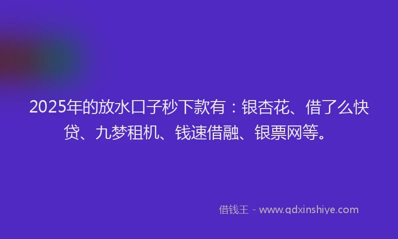 2025年的放水口子秒下款有：银杏花、借了么快贷、九梦租机、钱速借融、银票网等。