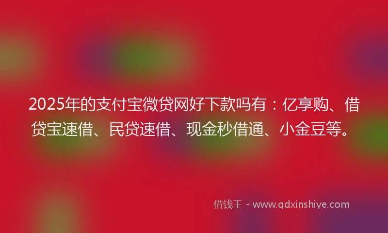 2025年的支付宝微贷网好下款吗有：亿享购、借贷宝速借、民贷速借、现金秒借通、小金豆等。