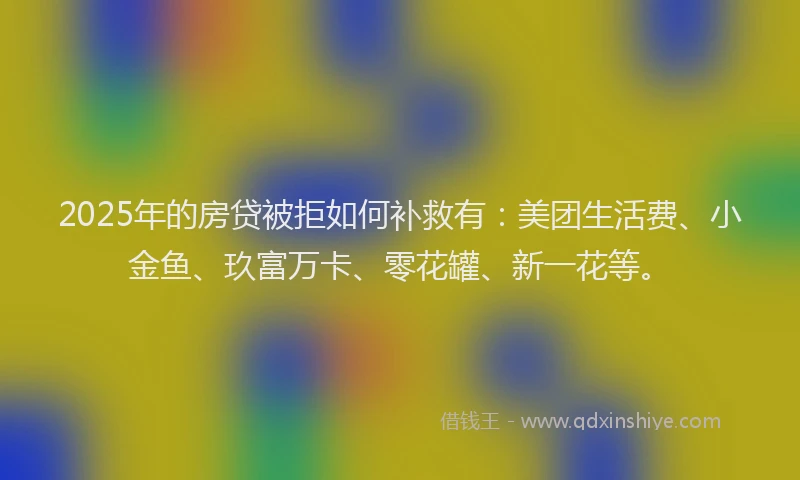 2025年的房贷被拒如何补救有：美团生活费、小金鱼、玖富万卡、零花罐、新一花等。