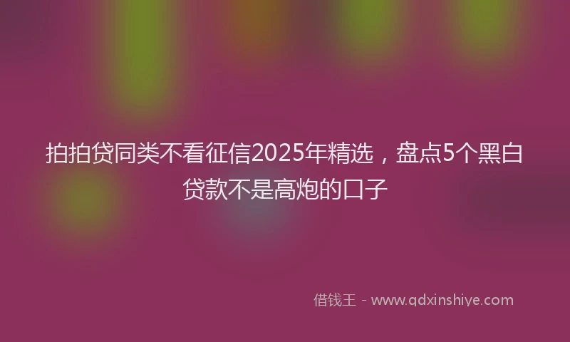 拍拍贷同类不看征信2025年精选，盘点5个黑白贷款不是高炮的口子
