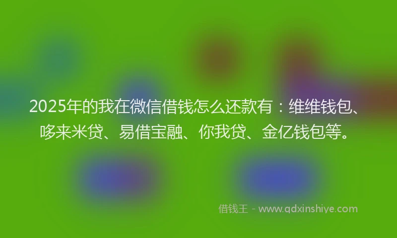 2025年的我在微信借钱怎么还款有：维维钱包、哆来米贷、易借宝融、你我贷、金亿钱包等。