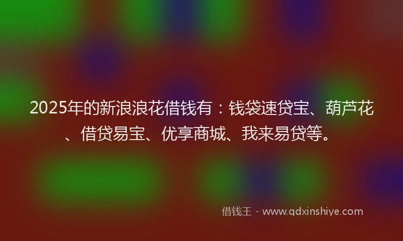 2025年的新浪浪花借钱有：钱袋速贷宝、葫芦花、借贷易宝、优享商城、我来易贷等。