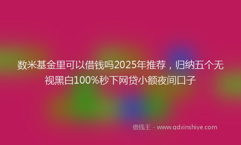 数米基金里可以借钱吗2025年推荐，归纳五个无视黑白100%秒下网贷小额夜间口子