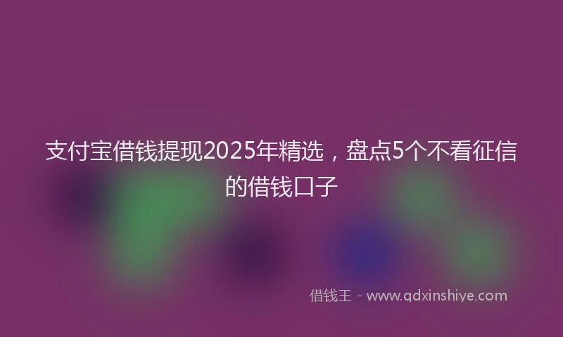 支付宝借钱提现2025年精选，盘点5个不看征信的借钱口子