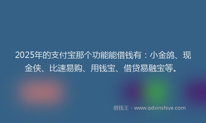 2025年的支付宝那个功能能借钱有：小金鸽、现金侠、比速易购、用钱宝、借贷易融宝等。