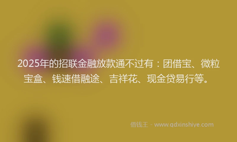 2025年的招联金融放款通不过有：团借宝、微粒宝盒、钱速借融途、吉祥花、现金贷易行等。