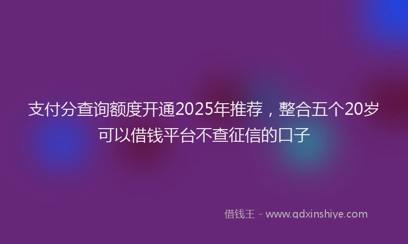 支付分查询额度开通2025年推荐，整合五个20岁可以借钱平台不查征信的口子