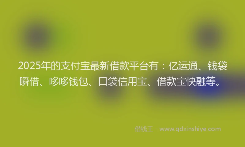 2025年的支付宝最新借款平台有：亿运通、钱袋瞬借、哆哆钱包、口袋信用宝、借款宝快融等。