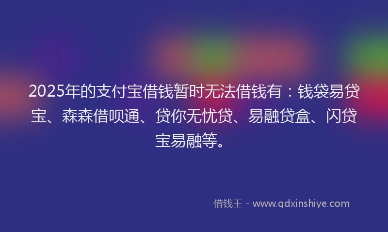 2025年的支付宝借钱暂时无法借钱有：钱袋易贷宝、森森借呗通、贷你无忧贷、易融贷盒、闪贷宝易融等。