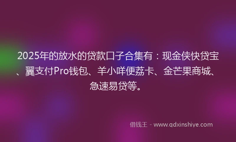 2025年的放水的贷款口子合集有：现金侠快贷宝、翼支付Pro钱包、羊小咩便荔卡、金芒果商城、急速易贷等。