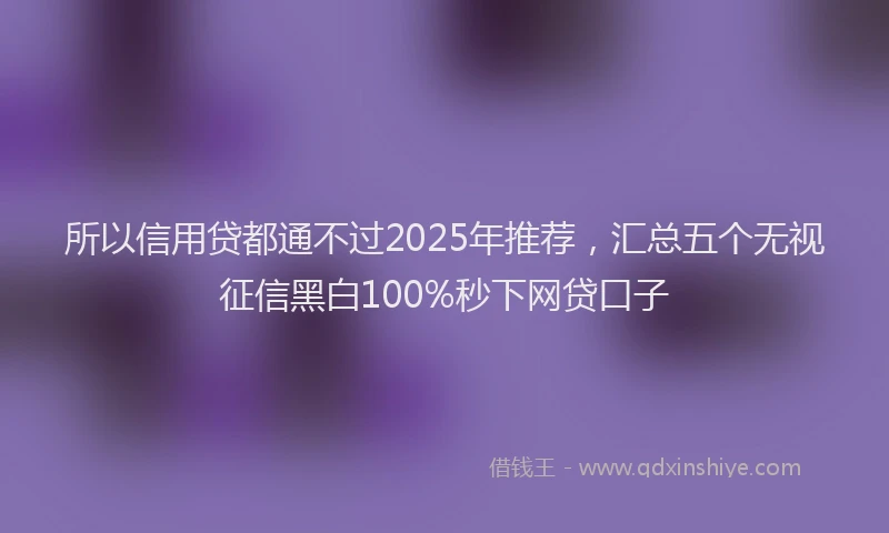 所以信用贷都通不过2025年推荐，汇总五个无视征信黑白100%秒下网贷口子