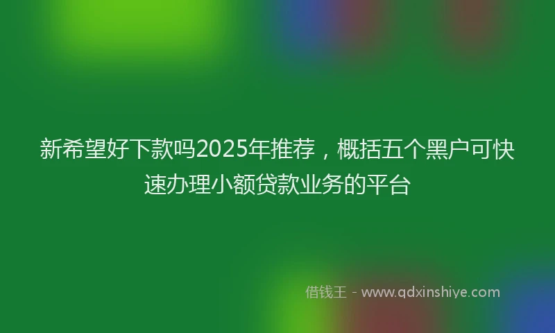 新希望好下款吗2025年推荐，概括五个黑户可快速办理小额贷款业务的平台