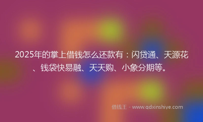 2025年的掌上借钱怎么还款有：闪贷通、天源花、钱袋快易融、天天购、小象分期等。