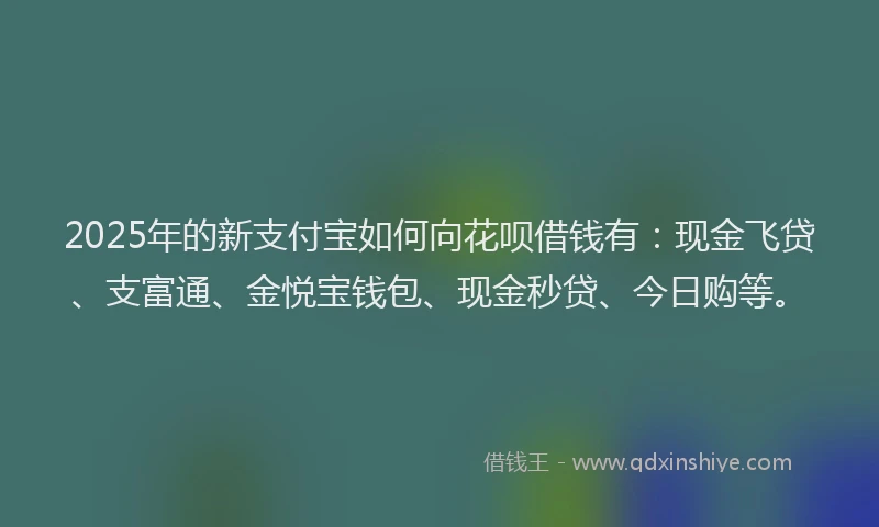 2025年的新支付宝如何向花呗借钱有：现金飞贷、支富通、金悦宝钱包、现金秒贷、今日购等。