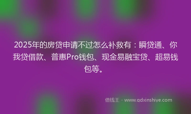 2025年的房贷申请不过怎么补救有：瞬贷通、你我贷借款、普惠Pro钱包、现金易融宝贷、超易钱包等。