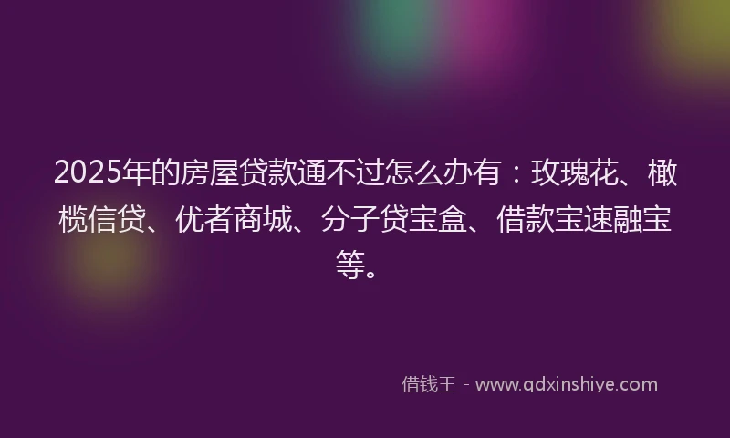 2025年的房屋贷款通不过怎么办有：玫瑰花、橄榄信贷、优者商城、分子贷宝盒、借款宝速融宝等。