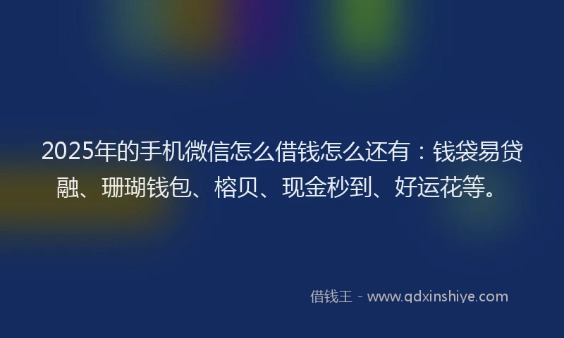 2025年的手机微信怎么借钱怎么还有：钱袋易贷融、珊瑚钱包、榕贝、现金秒到、好运花等。
