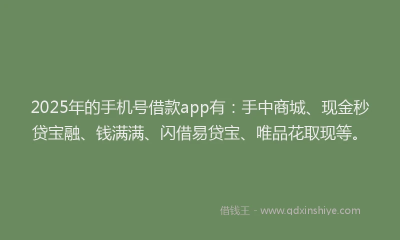 2025年的手机号借款app有：手中商城、现金秒贷宝融、钱满满、闪借易贷宝、唯品花取现等。