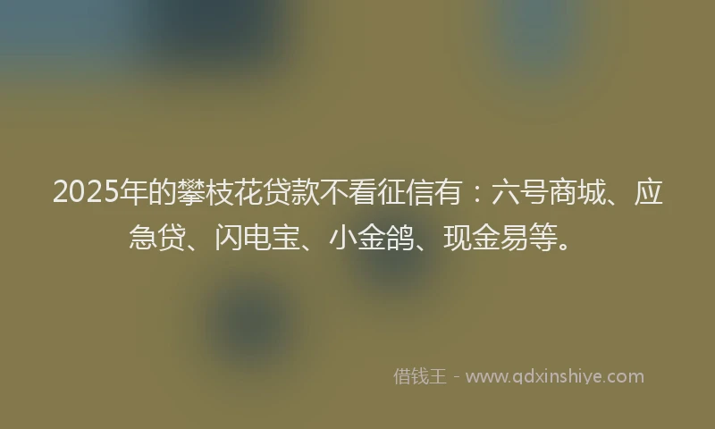 2025年的攀枝花贷款不看征信有：六号商城、应急贷、闪电宝、小金鸽、现金易等。