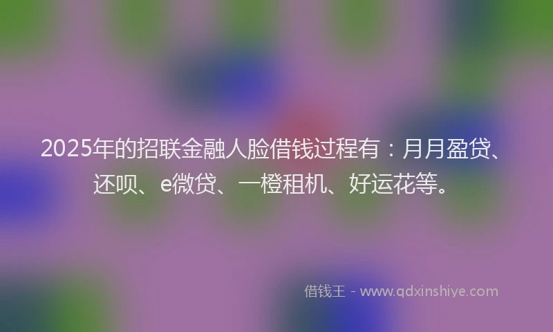 2025年的招联金融人脸借钱过程有：月月盈贷、还呗、e微贷、一橙租机、好运花等。