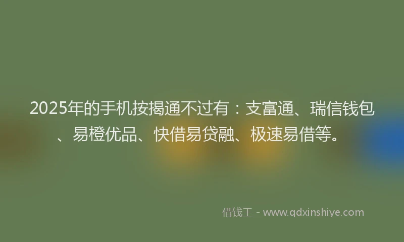2025年的手机按揭通不过有：支富通、瑞信钱包、易橙优品、快借易贷融、极速易借等。