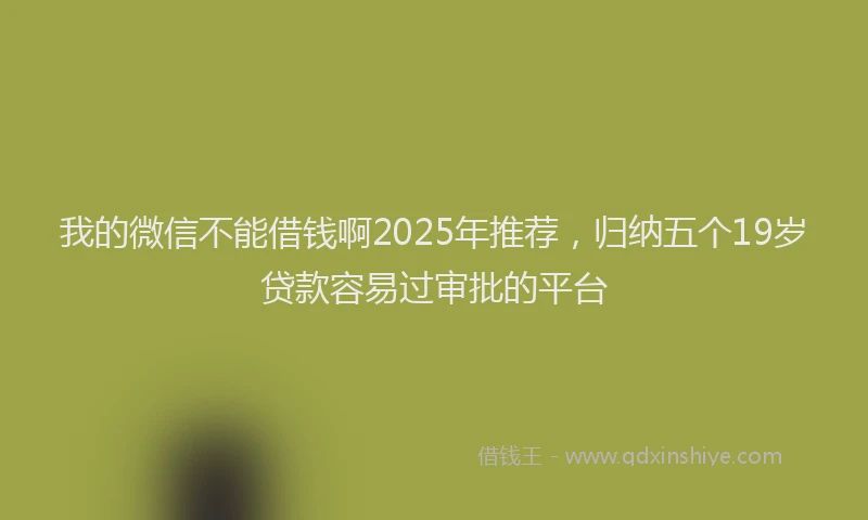 我的微信不能借钱啊2025年推荐，归纳五个19岁贷款容易过审批的平台
