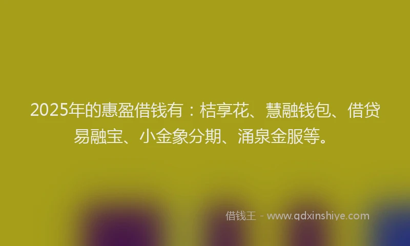 2025年的惠盈借钱有：桔享花、慧融钱包、借贷易融宝、小金象分期、涌泉金服等。
