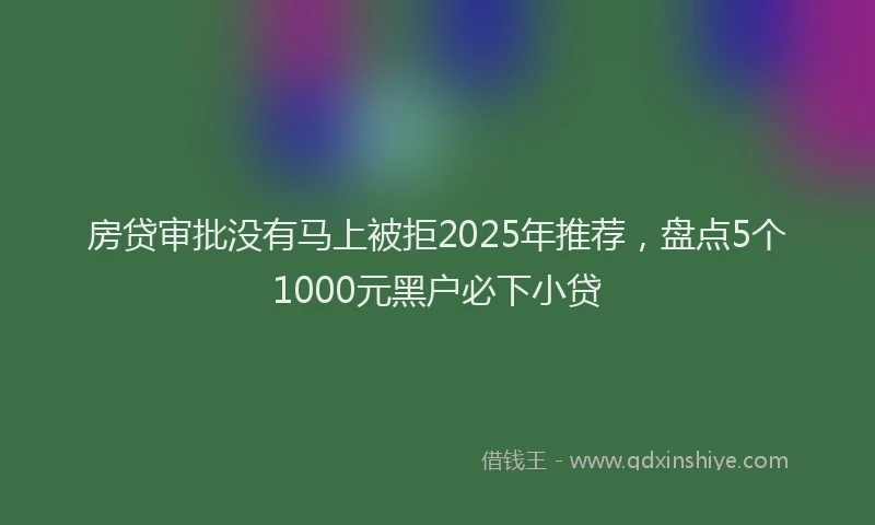 房贷审批没有马上被拒2025年推荐，盘点5个1000元黑户必下小贷