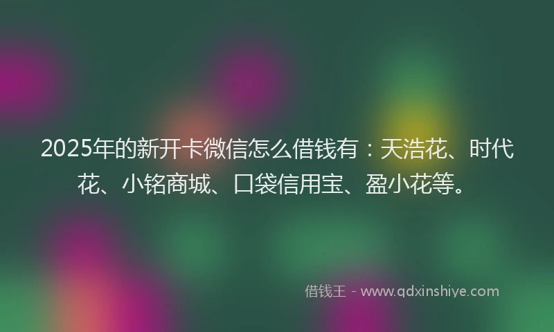 2025年的新开卡微信怎么借钱有：天浩花、时代花、小铭商城、口袋信用宝、盈小花等。