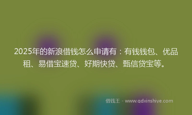 2025年的新浪借钱怎么申请有：有钱钱包、优品租、易借宝速贷、好期快贷、甄信贷宝等。