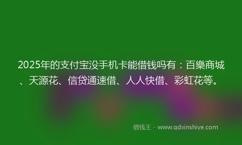 2025年的支付宝没手机卡能借钱吗有：百樂商城、天源花、信贷通速借、人人快借、彩虹花等。