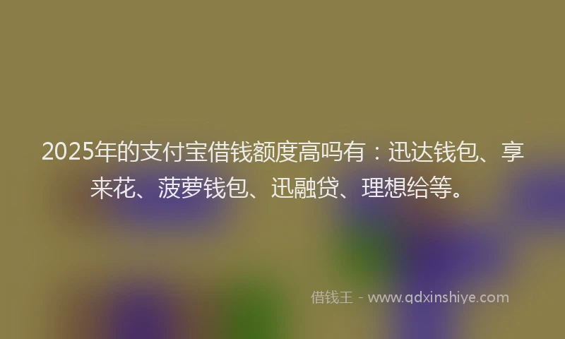 2025年的支付宝借钱额度高吗有：迅达钱包、享来花、菠萝钱包、迅融贷、理想给等。