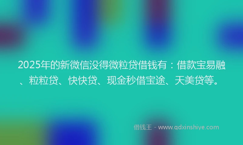 2025年的新微信没得微粒贷借钱有：借款宝易融、粒粒贷、快快贷、现金秒借宝途、天美贷等。