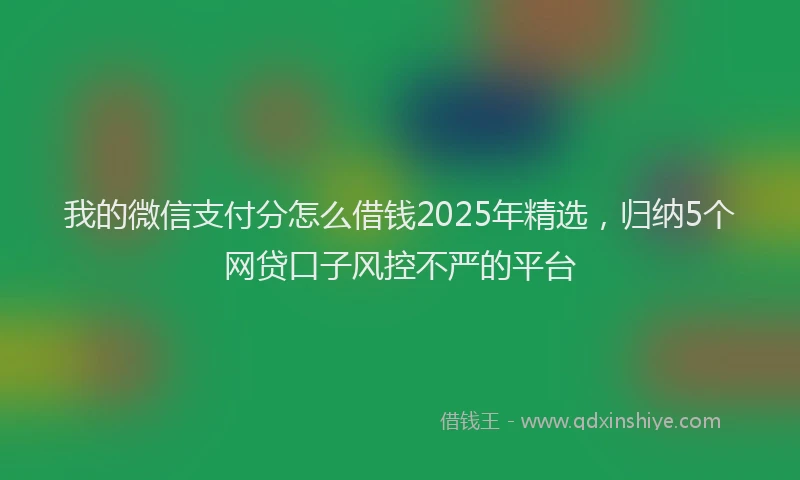 我的微信支付分怎么借钱2025年精选，归纳5个网贷口子风控不严的平台