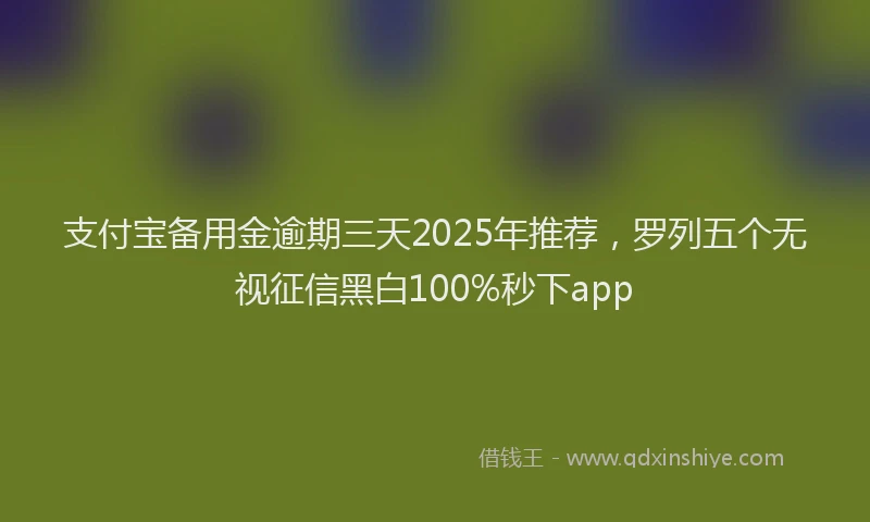 支付宝备用金逾期三天2025年推荐，罗列五个无视征信黑白100%秒下app