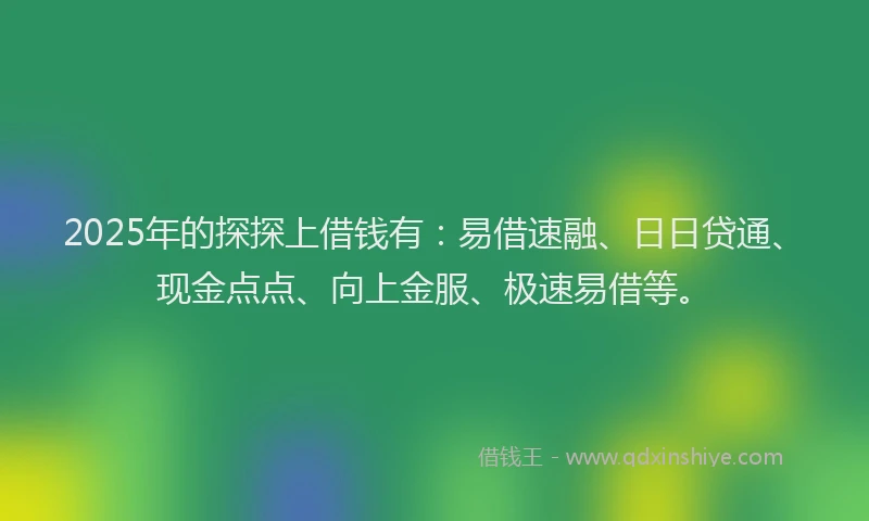 2025年的探探上借钱有：易借速融、日日贷通、现金点点、向上金服、极速易借等。
