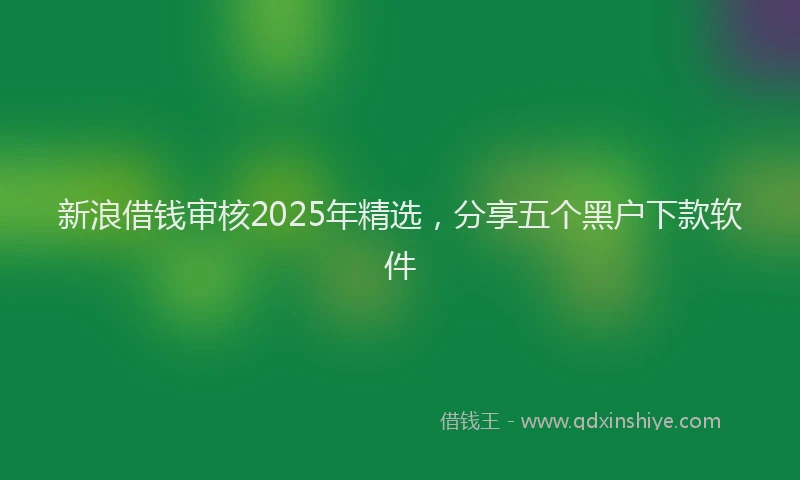 新浪借钱审核2025年精选，分享五个黑户下款软件