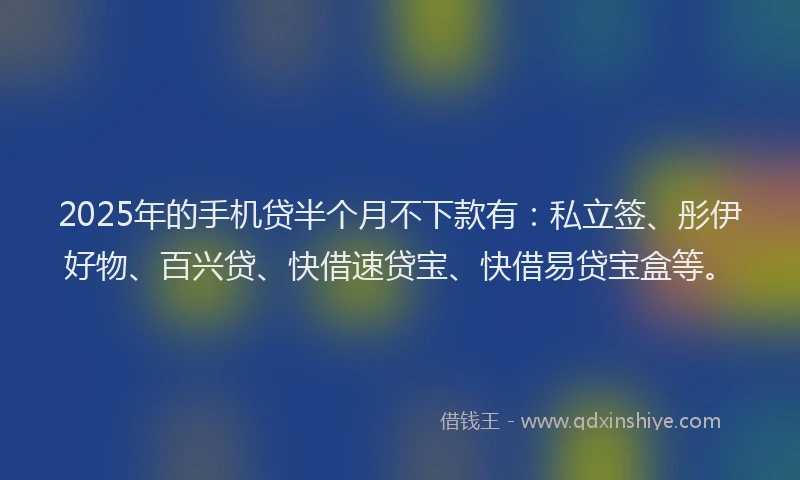 2025年的手机贷半个月不下款有：私立签、彤伊好物、百兴贷、快借速贷宝、快借易贷宝盒等。