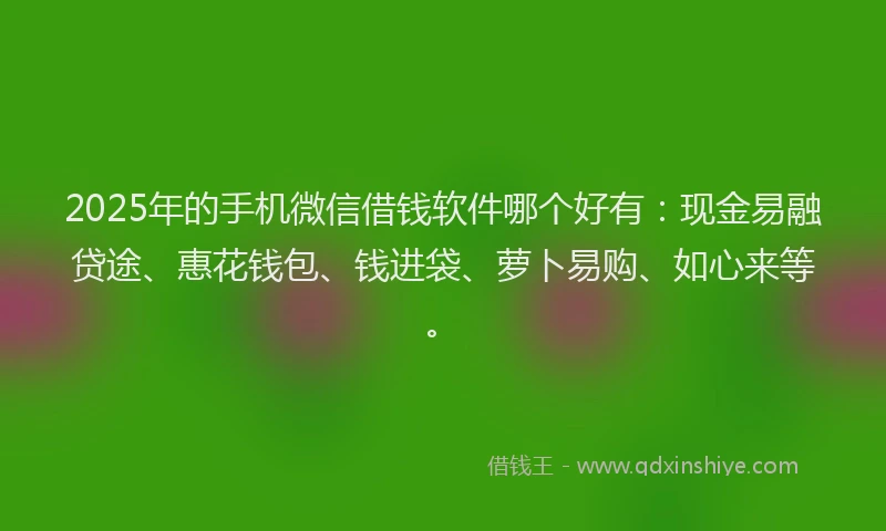 2025年的手机微信借钱软件哪个好有：现金易融贷途、惠花钱包、钱进袋、萝卜易购、如心来等。