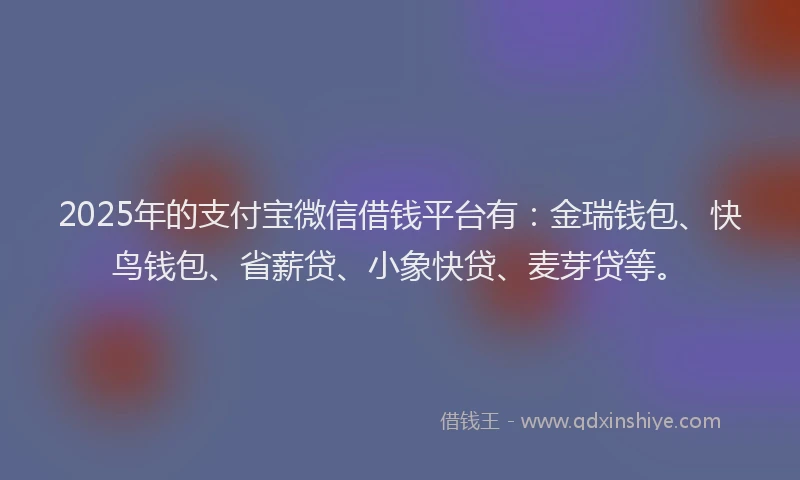 2025年的支付宝微信借钱平台有：金瑞钱包、快鸟钱包、省薪贷、小象快贷、麦芽贷等。
