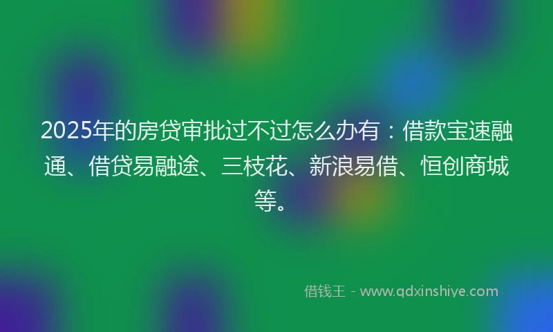 2025年的房贷审批过不过怎么办有：借款宝速融通、借贷易融途、三枝花、新浪易借、恒创商城等。