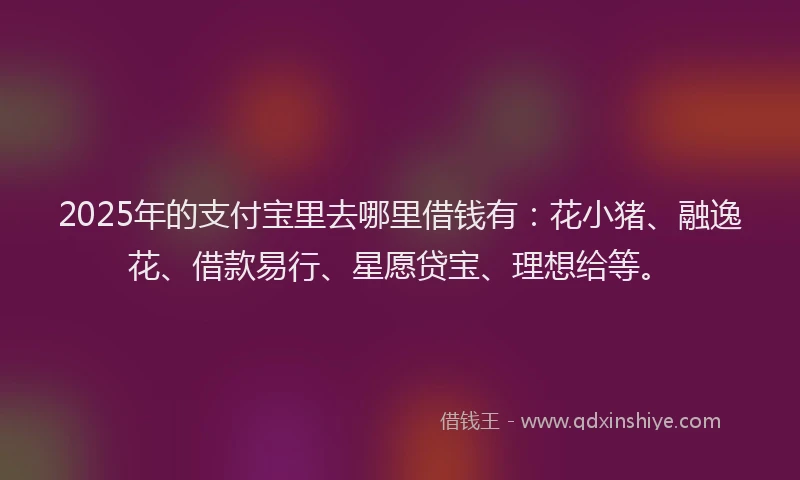 2025年的支付宝里去哪里借钱有：花小猪、融逸花、借款易行、星愿贷宝、理想给等。
