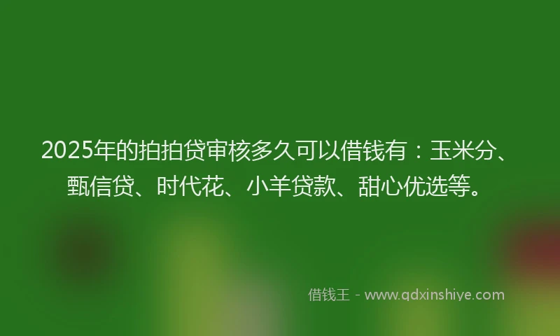 2025年的拍拍贷审核多久可以借钱有：玉米分、甄信贷、时代花、小羊贷款、甜心优选等。